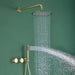 Abluor Shower Head - Residence Supply