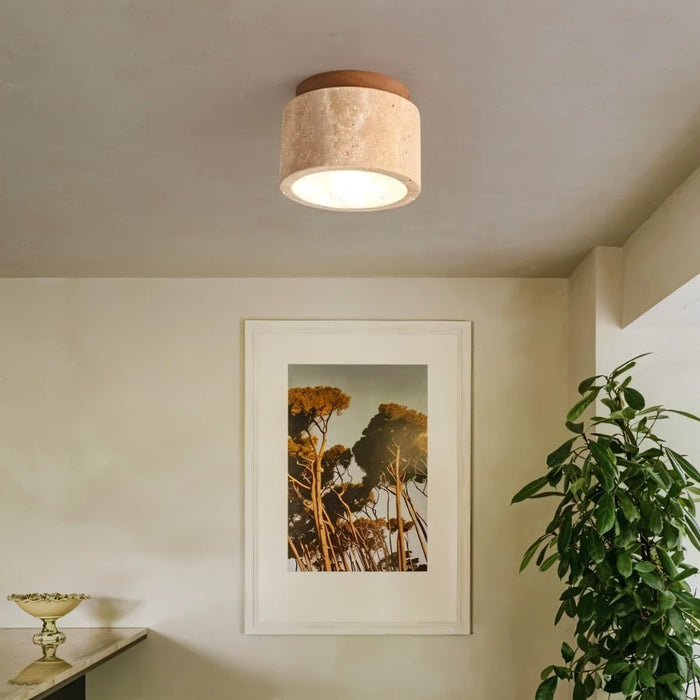 Alorium Ceiling Light - Residence Supply