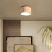 Alorium Ceiling Light - Residence Supply