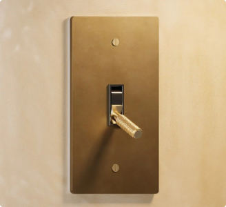 The Brass Toggle Switch