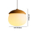 Castanea Pendant Light - Residence Supply