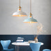 Color Block Shade Pendant Light - Living Room Lights