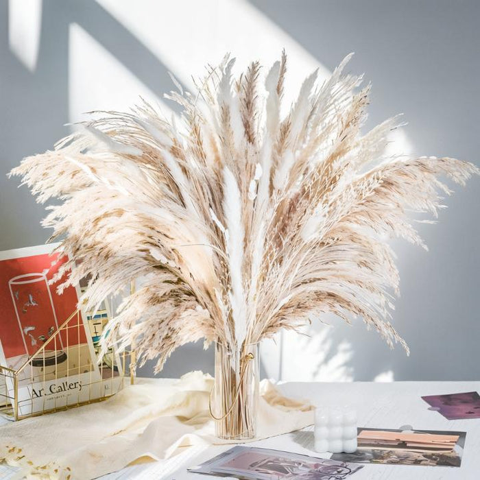 Cortaderia Pampas Grass Bouquet - Residence Supply