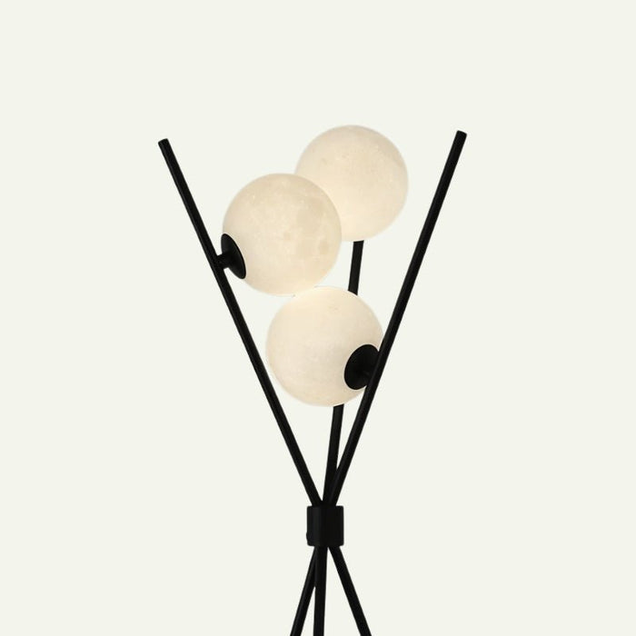 Daince Floor Lamp - Residence Supply