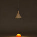 Dana Pendant Light - Residence Supply