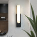 Emilia Wall Lamp - Light Fixtures