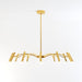 Funale Chandelier - Residence Supply