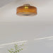 Hasos Ceiling Light - Residence Supply