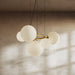 Lucienne Chandelier - Residence Supply