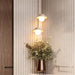 Orexa Pendant Light - Residence Supply