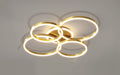 Roshan Ceiling light - Residence Supply