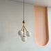 Sawis Pendant Light - Residence Supply