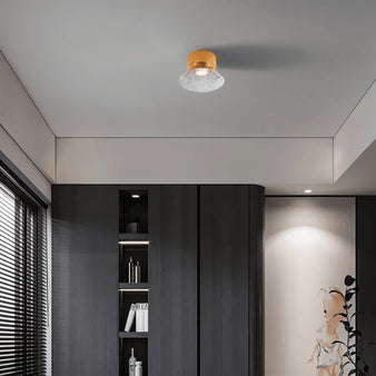 Teja Ceiling Light - Residence Supply