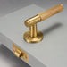 The Brass Door Handle - Residence Supply