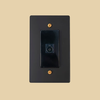 The Brass TV Socket (1 - Gang) - Residence Supply