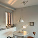 Tyche Indoor Pendant Light - Residence Supply