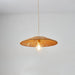 Weban Pendant Light - Residence Supply